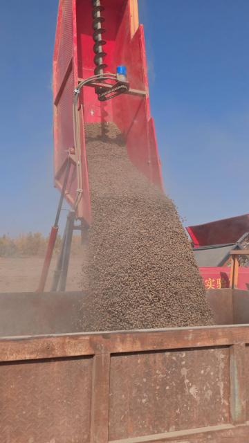 1762401352169975.jpg 1762401352169975.jpg